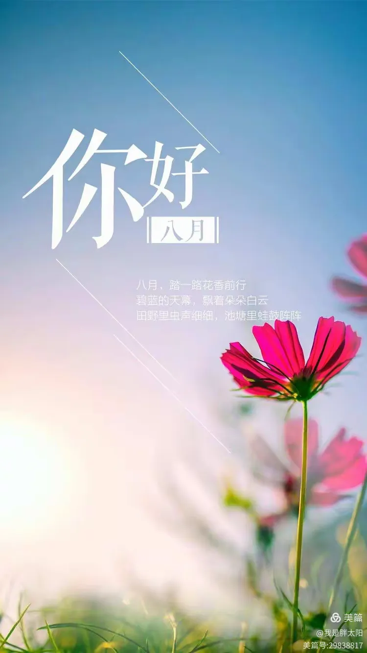 商幼华松幼儿园苗二班走进夏末的八月